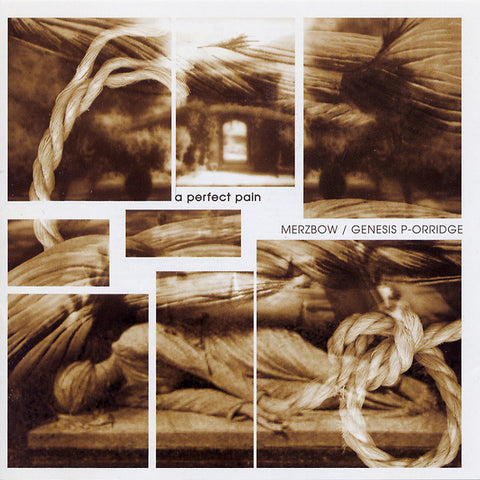 MERZBOW/GENESIS BREYER P-ORRIDGE - A Perfect Pain ((CD))