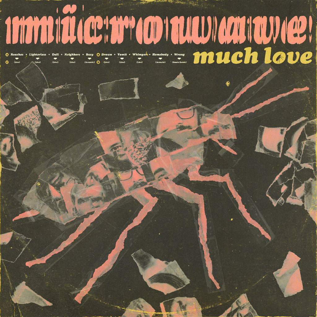 Microwave - Much Love (10 Year Anniversary Edition) (Clear Pink Swirl Vinyl) ((Vinyl))