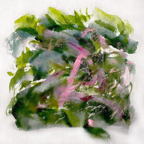 MIZU - Forest Scenes (COLOR-IN-COLOR LIGHT PINK & RED VINYL) ((Vinyl))