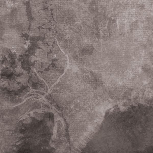 Multicast Dynamics - Scandinavia ((CD))