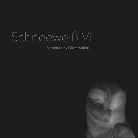 OLIVER KOLETZKI - Schneeweiss VI ((CD))