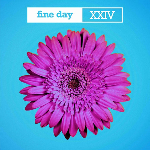 Opus Iii - Fine Day Xxiv ((Vinyl))