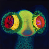 Osees - SORCS 80 (Colored Vinyl, Green, Magenta, Limited Edition, Indie Exclusive) ((Vinyl))