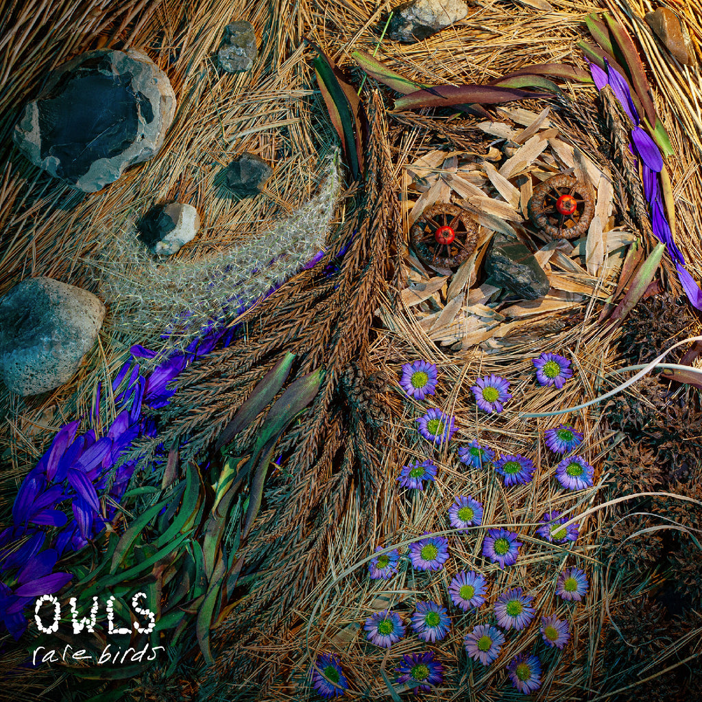 Owls - Rare Birds ((CD))