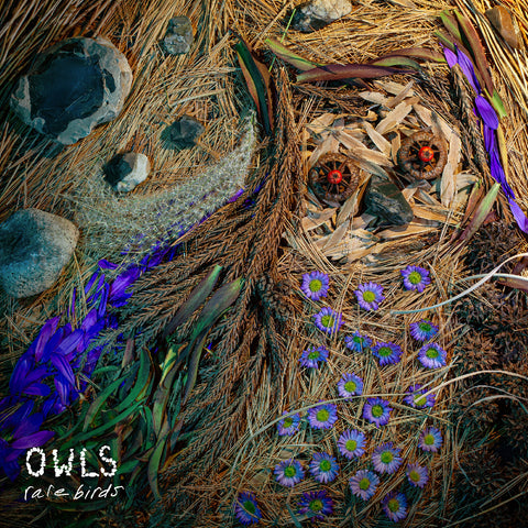 Owls - Rare Birds ((CD))