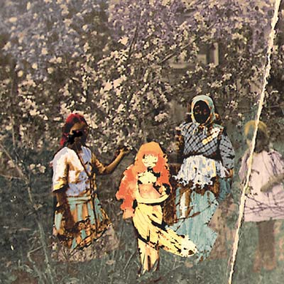 PAAVOHARJU - Laulu Laakson Kukista ((CD))