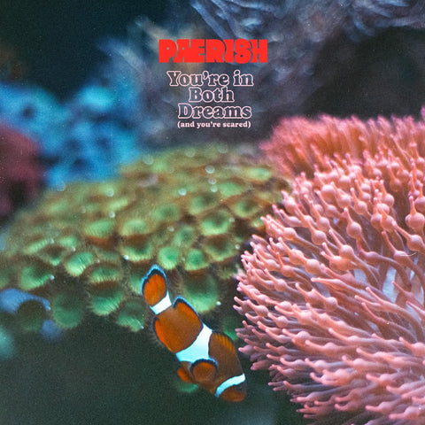 PAERISH - You're In Both Dreams (and You're Scared) ((CD))