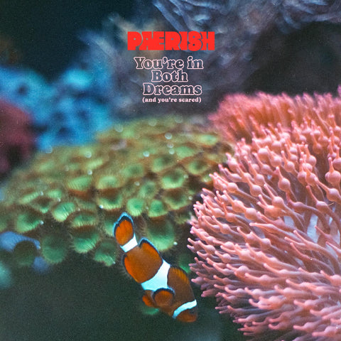 PAERISH - You're in both dreams (and you're scared) ((Vinyl))