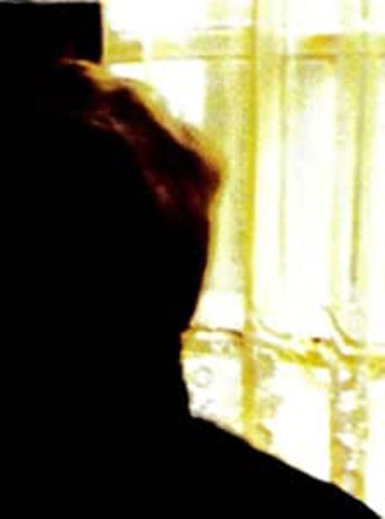 Palace Brothers - Days In the Wake ((Vinyl))