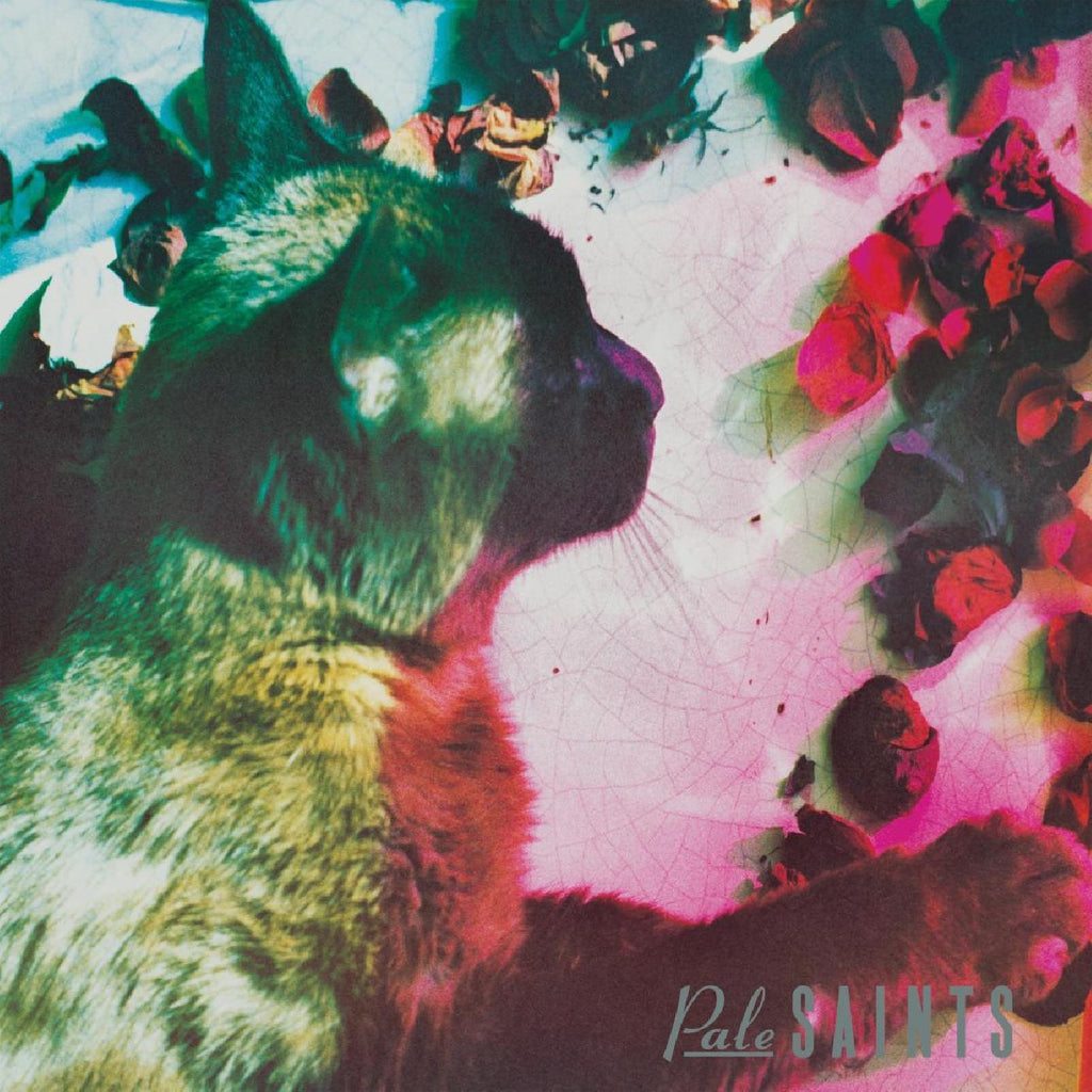 Pale Saints - The Comforts of Madness (30th Anniversary Reissue) ((CD))