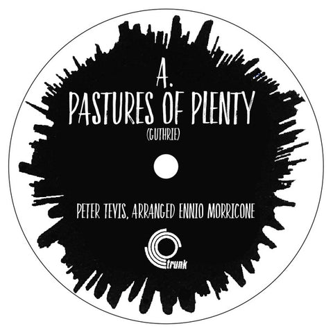 PETER TEVIS/ENNIO MORRICONE - Pastures Of Plenty ((Vinyl))