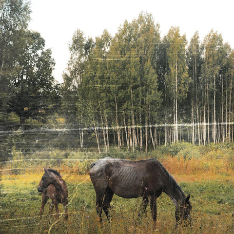 Pianos Become The Teeth - Old Pride (FOREST GREEN VINYL) ((Vinyl))