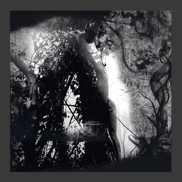 PISETZKY - Tears Of A Rough Machine ((Vinyl))