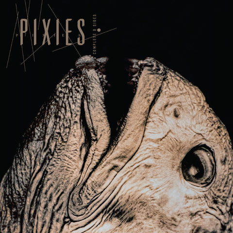 Pixies - Complete B Sides: 1988-97 ((CD))