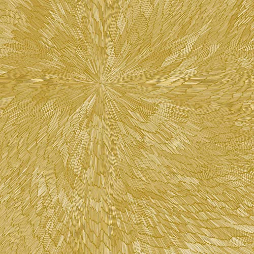 PJEV/Kit Downes/Hayden Chisholm - Medna Roso [LP] ((Vinyl))