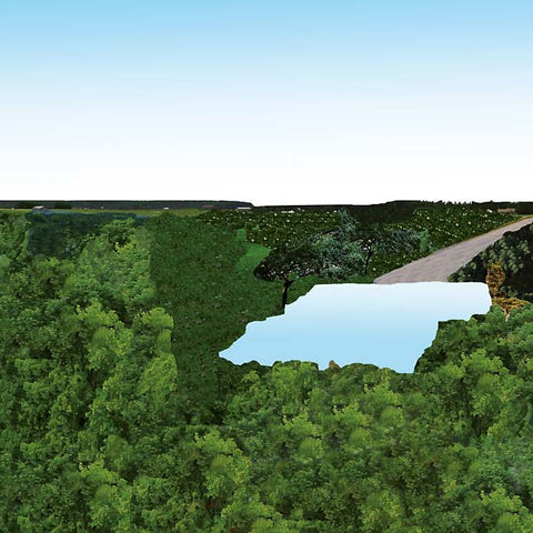 POLLOT - Pollot ((CD))