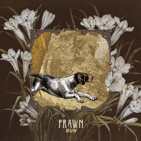 Prawn - Run ((CD))