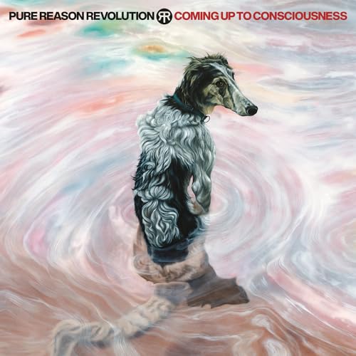 Pure Reason Revolution - Coming Up To Consciousness ((CD))
