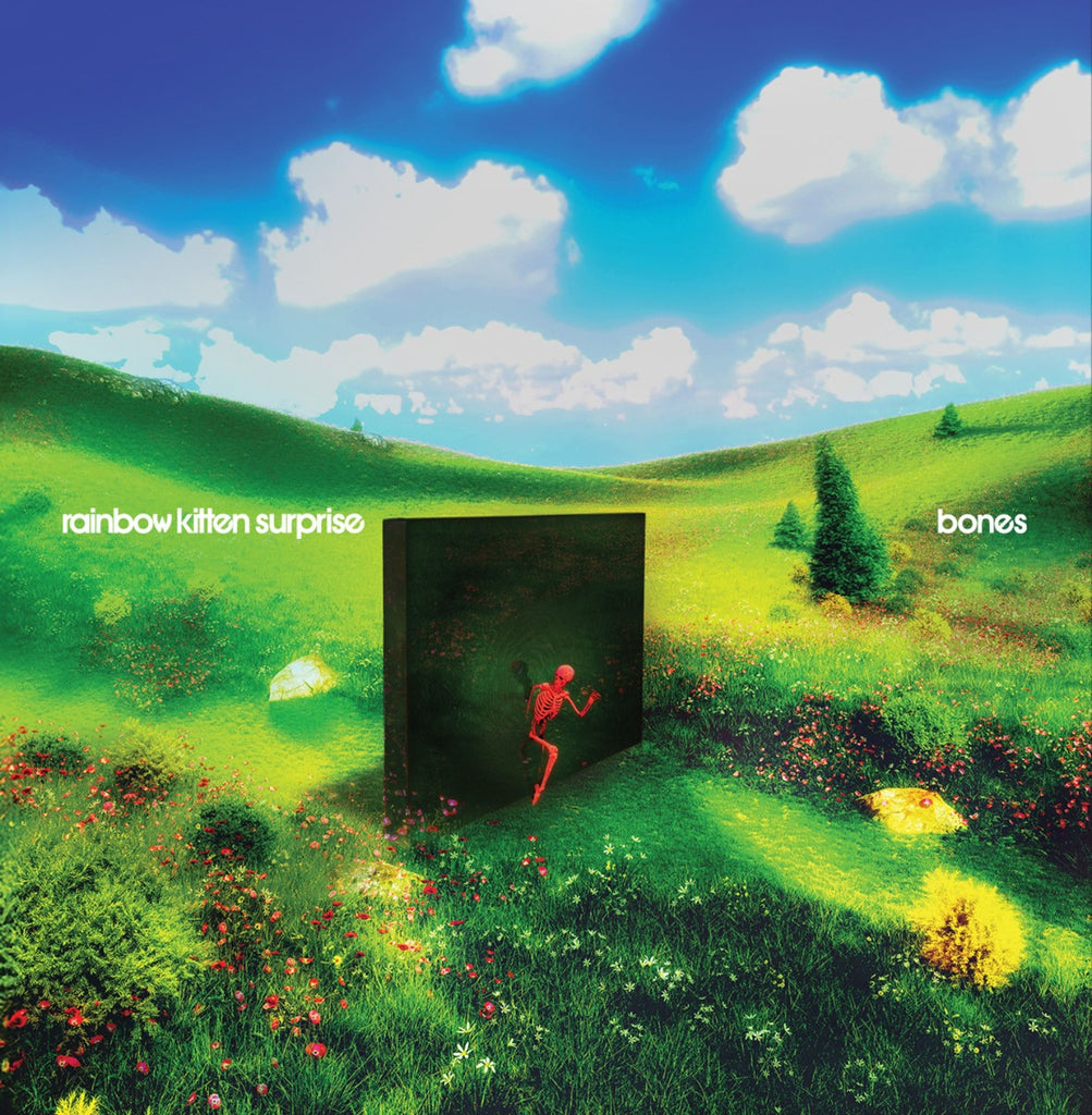 Rainbow Kitten Surprise - Bones (Indie Exclusive Banana Vinyl) ((Vinyl))