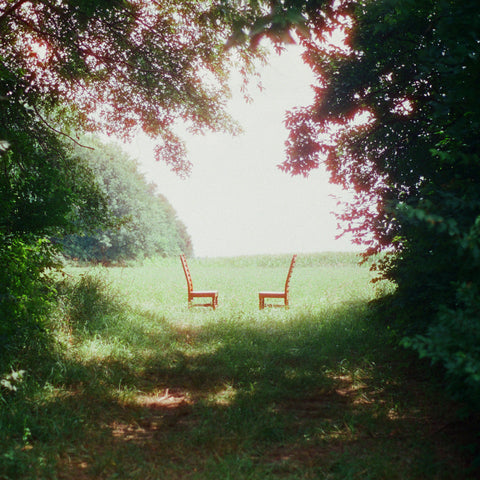 Ratboys - Singin' To An Empty Chair (Indie Exclusive, Green And Brown Marble Vinyl) ((Vinyl))