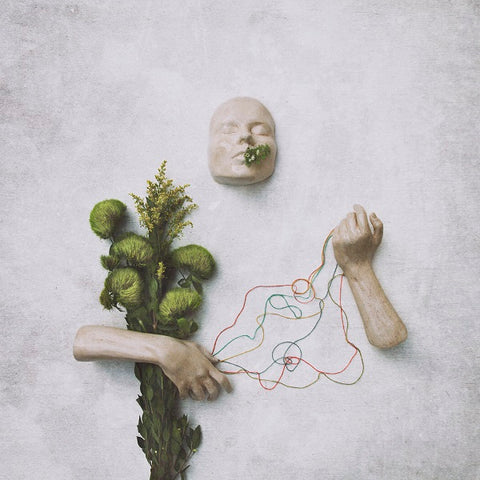 red steppes - A Mouth May Grow ((Vinyl))