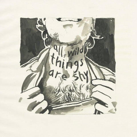 Richard Laviolette - All Wild Things Are Shy ((CD))