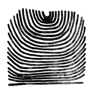 Rival Consoles - Howl ((CD))