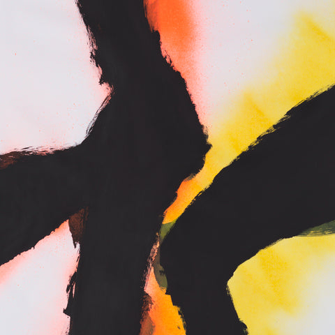 Rob & Emmett Kelly Mazurek - Alien Flower Sutra ((Vinyl))
