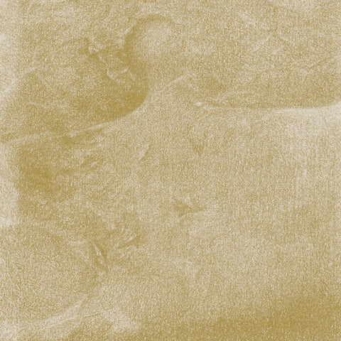 Siavash Amini - Eidolon ((CD))