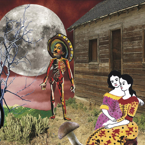 Silkworm - In The West ((Vinyl))