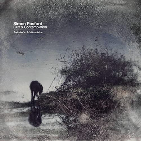 Simon Posford - Flux & Contemplation: Portrait Of An Artist In Isolation [2 LP] ((Vinyl))