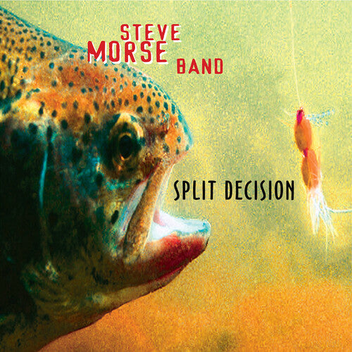 Steve Morse Band - Split Decision (Reissue) ((CD))