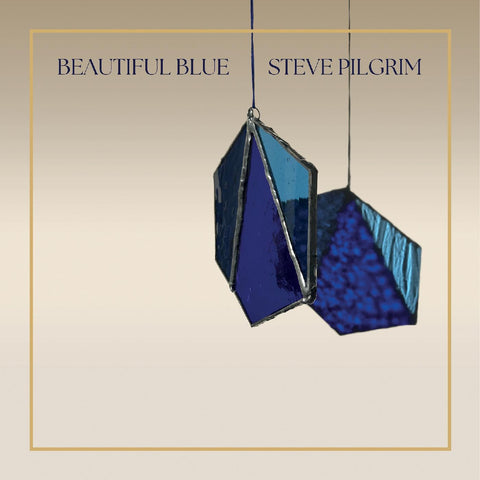 Steve Pilgrim - Beautiful Blue ((CD))