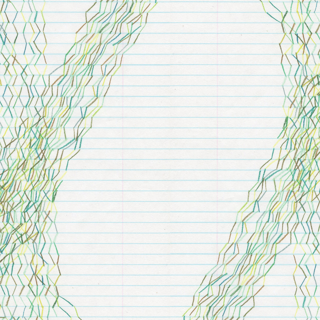 STEVE RODEN - Forms Of Paper ((Vinyl))