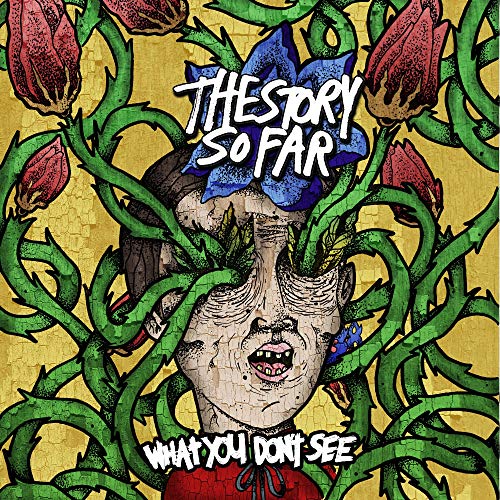 Story So Far, The - What You Don'T See ((Vinyl))