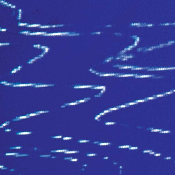 STRATEGY - Information Pollution ((Vinyl))