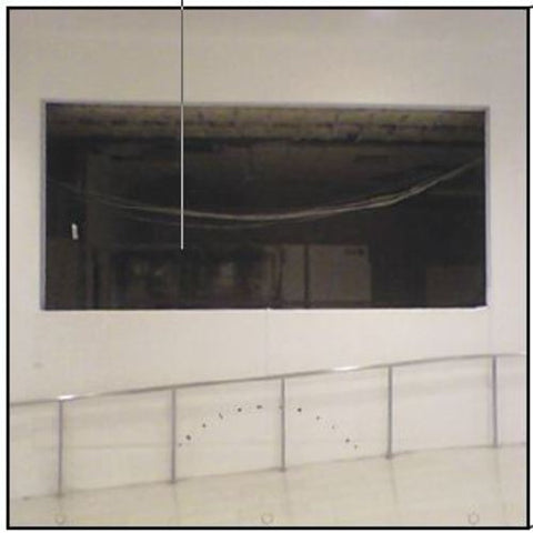 Sun Araw - Belomancie ((Vinyl))