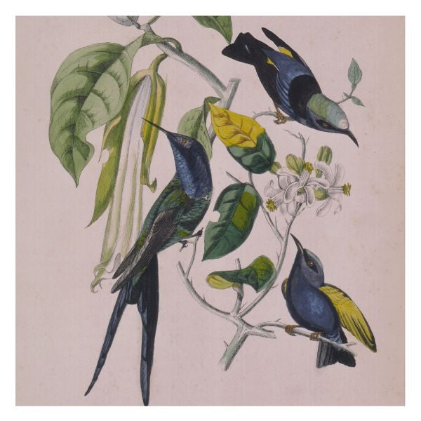 Susumu Yokota - Sakura ((CD))