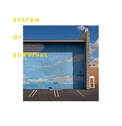 SYSTEM OF SURVIVAL - Needle and Thread ((CD))