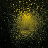 The Antlers - Burst Apart (Lemonade Yellow Colored Vinyl) ((Vinyl))