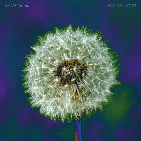 The Bevis Frond - Focus on Nature ((CD))