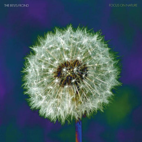 The Bevis Frond - Focus on Nature ((Vinyl))