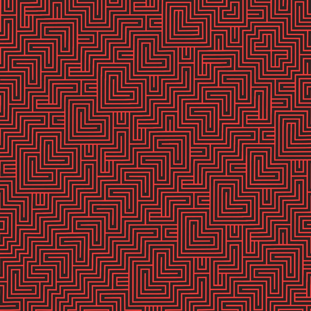 The Black Angels - Wilderness of Mirrors ((CD))