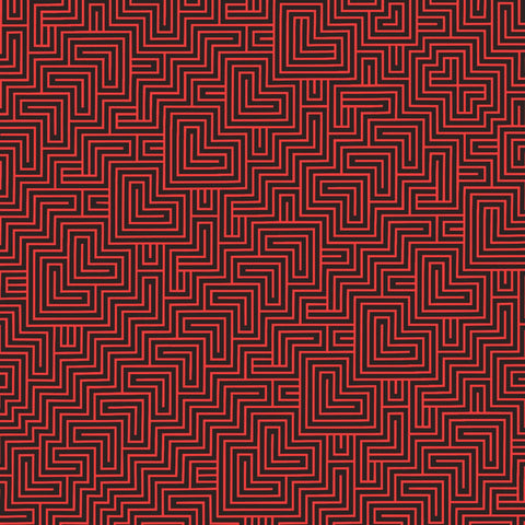 The Black Angels - Wilderness of Mirrors ((Vinyl))