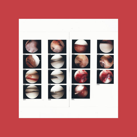 The Cradle - Laughing In My Sleep ((Vinyl))
