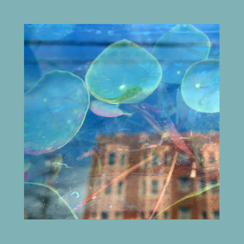 The Reds Pinks & Purples - Acknowledge Kindness ((CD))