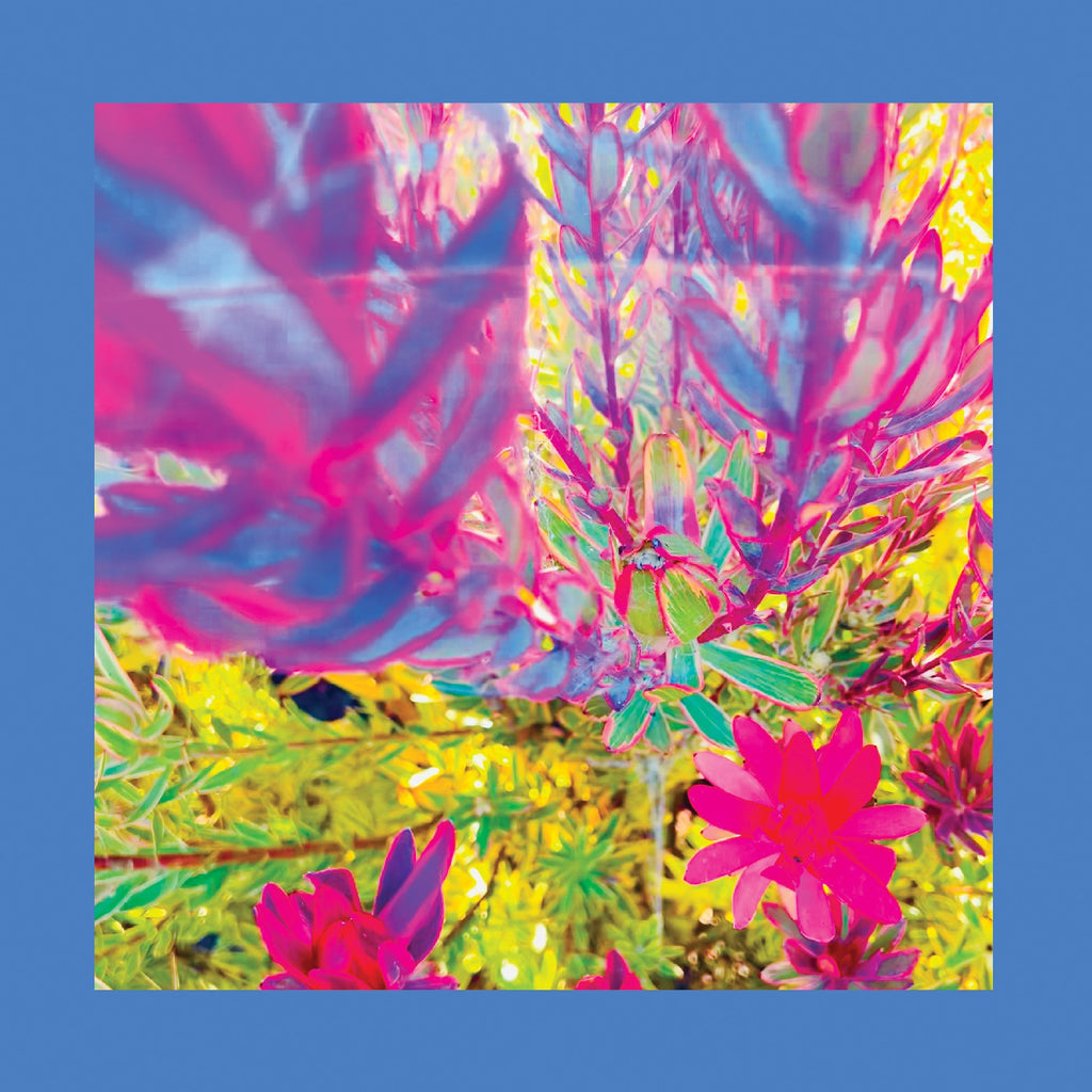 The Reds Pinks & Purples - The Past Is A Garden I Never Fed (Neon Pink Vinyl) ((Vinyl))