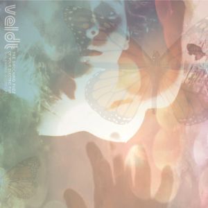 The Veldt - The Shocking Fuzz of Your Electric Fur: The Drake Equation ((CD))