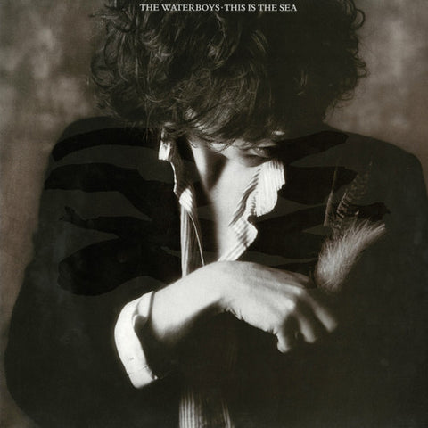 The Waterboys - This Is the Sea (180 Gram Vinyl) ((Vinyl))