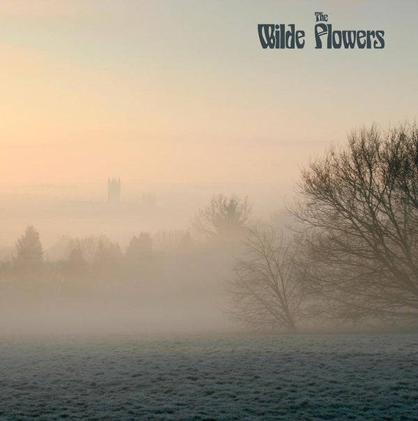 THE WILDE FLOWERS - The Wilde Flowers ((Vinyl))